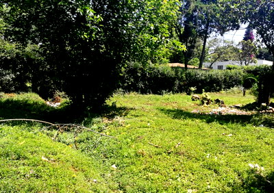 3/4 Acre Lavington Plot at KSh 280M