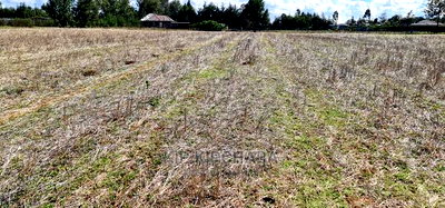 1/4 Plot for Sale in Chepkanga Eldoret - Image 9