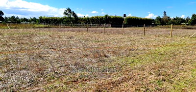 1/4 Plot for Sale in Chepkanga Eldoret - Image 4
