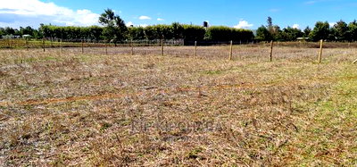 1/4 Plot for Sale in Chepkanga Eldoret - Image 6