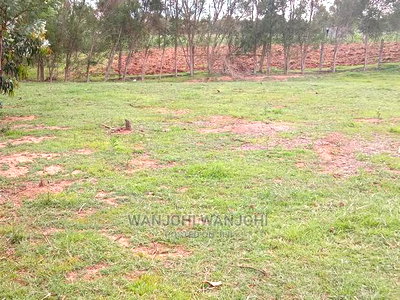 Jewel Plots in Nyandarua County - Image 2