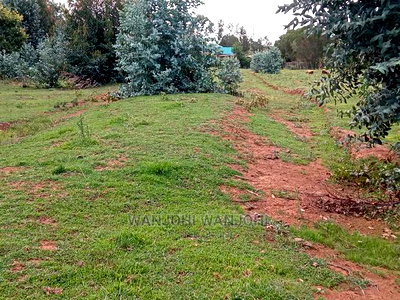 Jewel Plots in Nyandarua County - Image 5