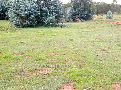 Jewel Plots in Nyandarua County - Image 3