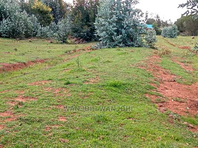 Jewel Plots in Nyandarua County - Image 4