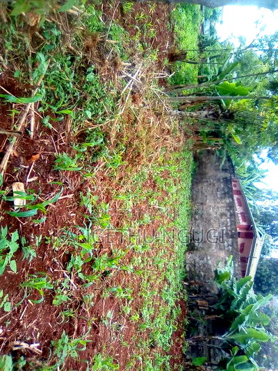 50x100 Commercial Plot At Kirigiti Kiambu - Image 1