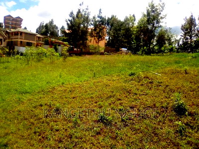 50x100 Commercial Plot At Kirigiti Kiambu - Image 4