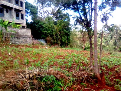 50x100 Commercial Plot At Kirigiti Kiambu - Image 2