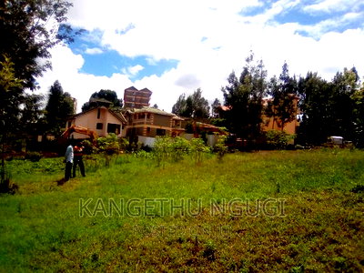 50x100 Commercial Plot At Kirigiti Kiambu - Image 3