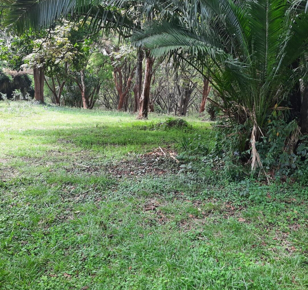 5-Acre Serviced Plot in Nairobi