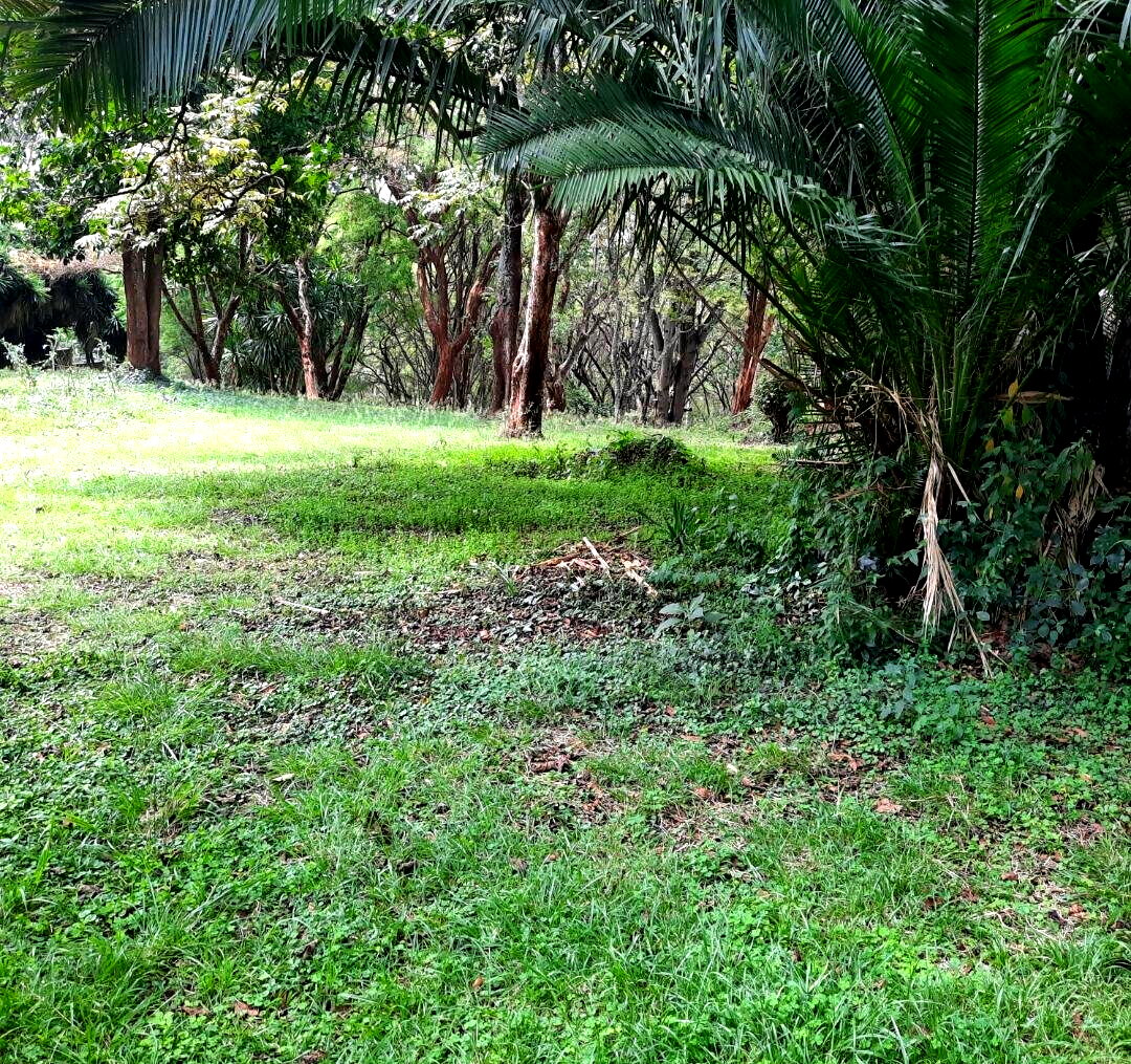 5-Acre Serviced Plot in Nairobi