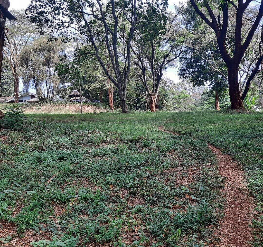 5-Acre Serviced Plot in Nairobi