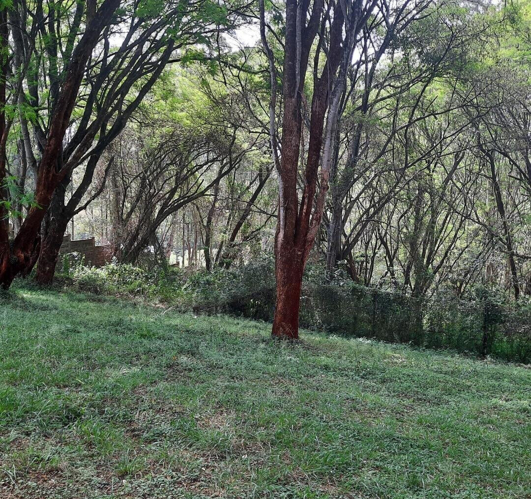 5-Acre Serviced Plot in Nairobi