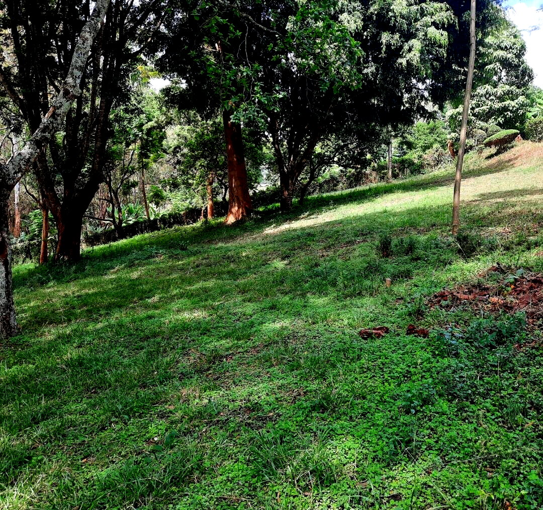 5-Acre Serviced Plot in Nairobi