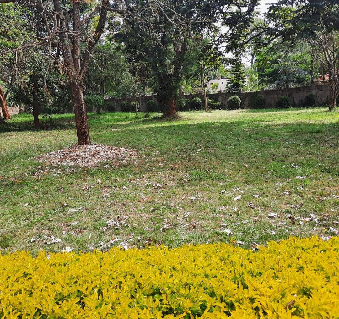 5-Acre Serviced Plot in Nairobi