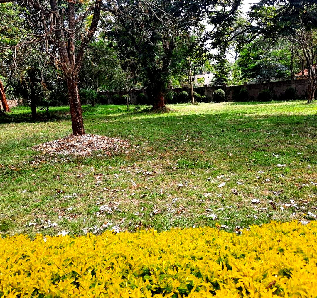 5-Acre Serviced Plot in Nairobi