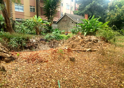 1/2 Acre Plot in Westlands