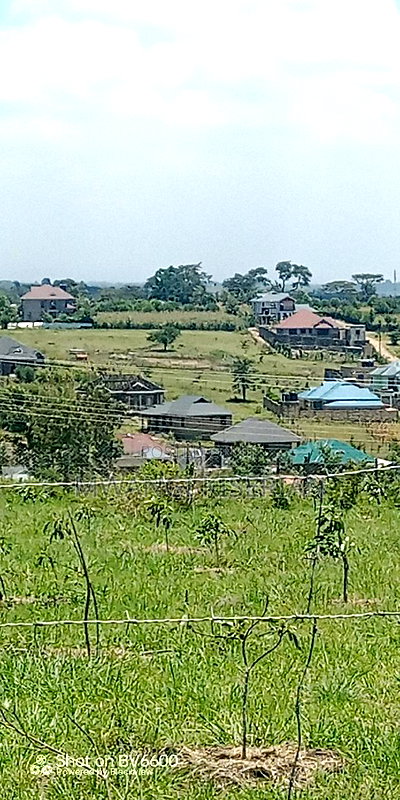 4acres of Land in Kiserian - Image 8