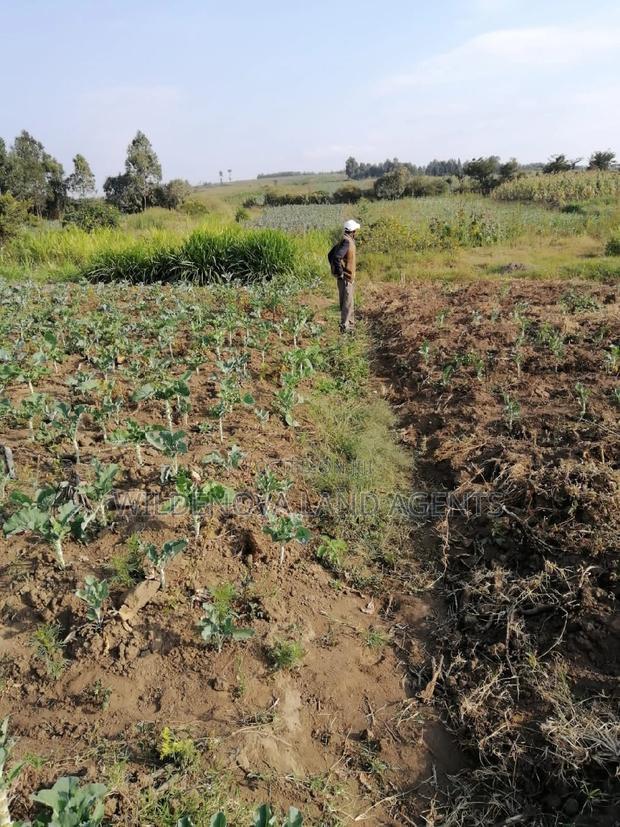 Land on Sale at Naivasha