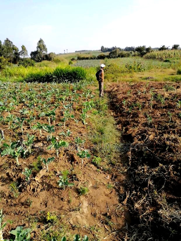 Land on Sale at Naivasha