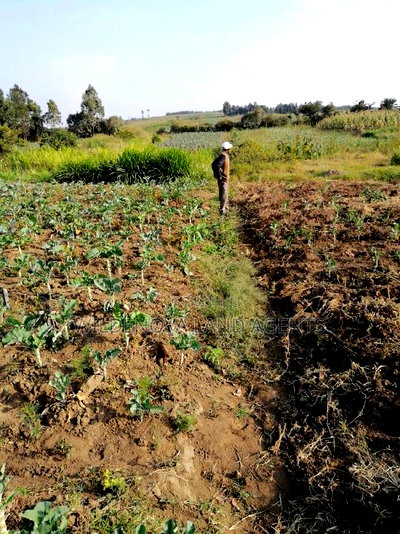 Land on Sale at Naivasha - Image 1