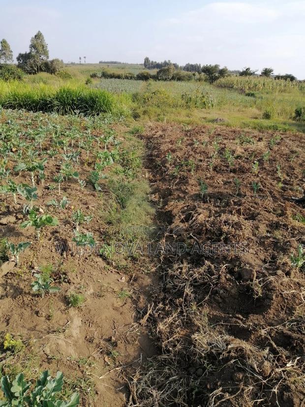 Land on Sale at Naivasha