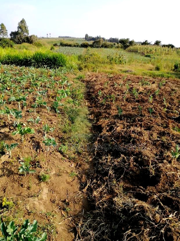 Land on Sale at Naivasha