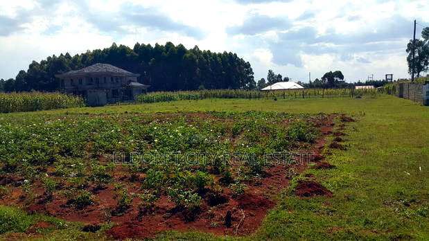 1/4 Plot Kiplombe With Title