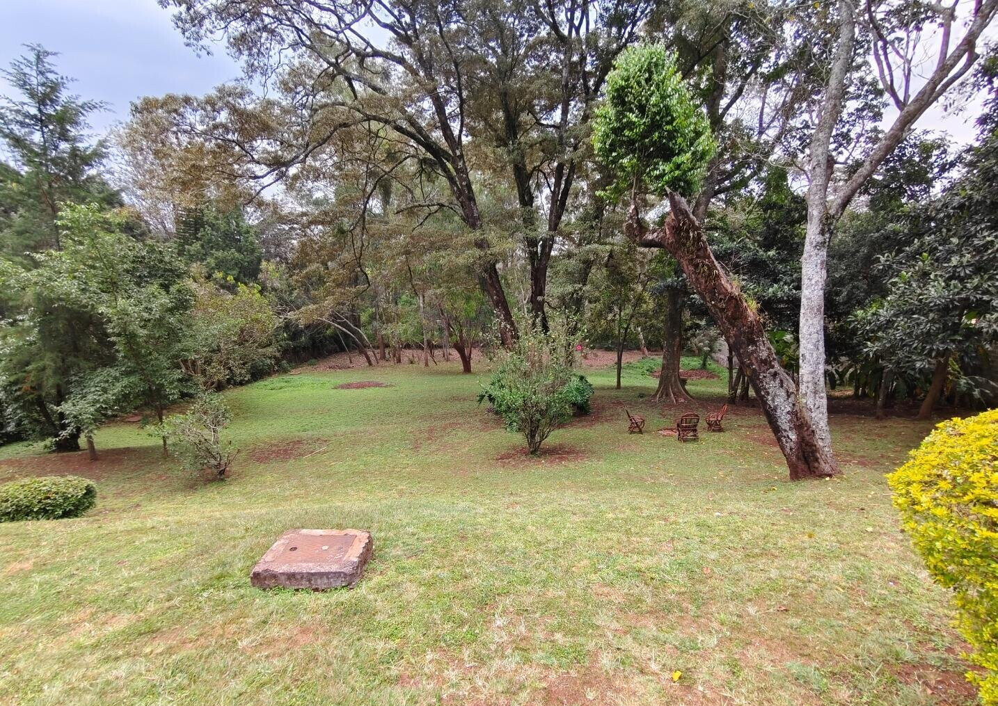 1.1-Acre Lavington Gem with Garden
