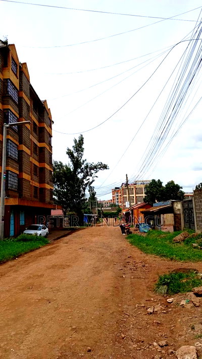 Commercial Land on Sale, 100*100, Kiamumbi - Image 7