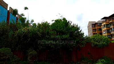 Commercial Land on Sale, 100*100, Kiamumbi - Image 3