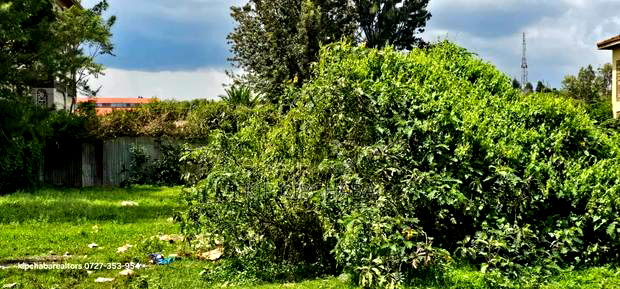 Commercial 1/4 Plot for Sale in Kapsoya Eldoret