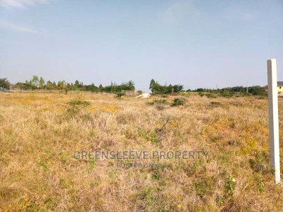 5 Acre Land for Sale - Image 6