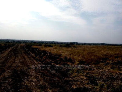 5 Acre Land for Sale - Image 9