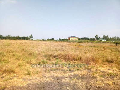 5 Acre Land for Sale - Image 5