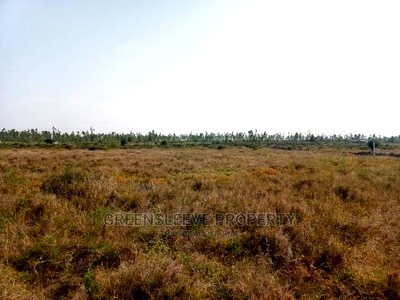 5 Acre Land for Sale - Image 3