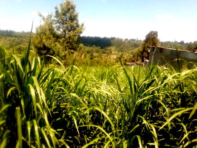 One and Half Acres Land Githunguri - Image 7