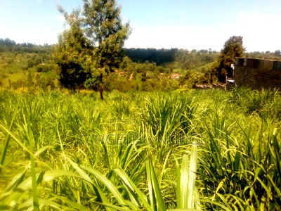 One and Half Acres Land Githunguri - Image 1