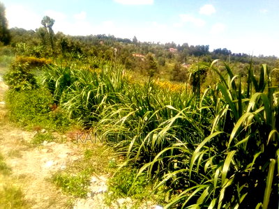 One and Half Acres Land Githunguri - Image 2