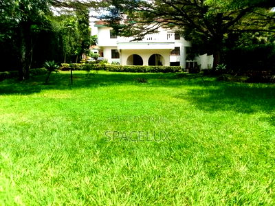 Meticulous Office Castle - Image 2