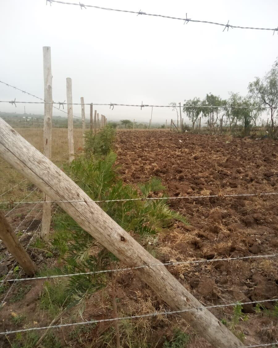50x100 Garden Plot with Parking - Kinanie