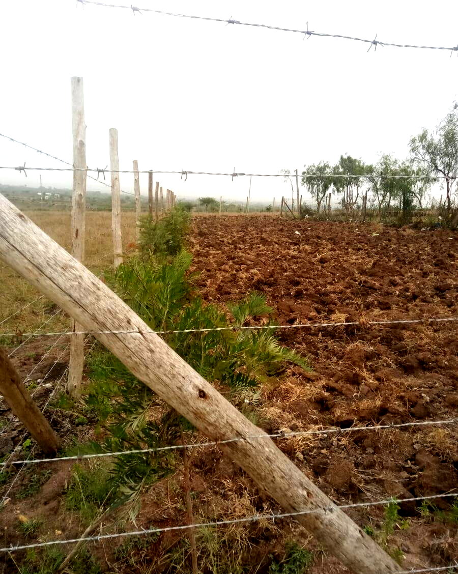 50x100 Garden Plot with Parking - Kinanie