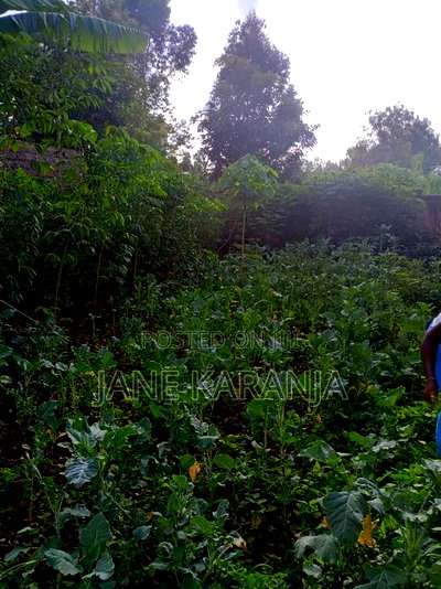 Very Prime Plot at Gachie Ready Title 40 by 80 - Image 5