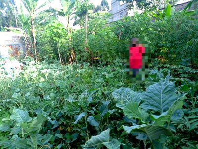 Very Prime Plot at Gachie Ready Title 40 by 80 - Image 4