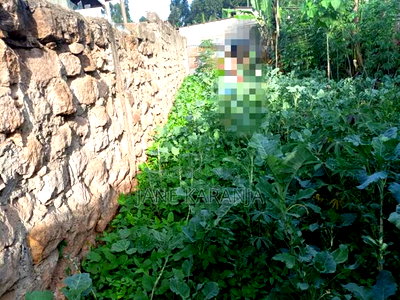 Very Prime Plot at Gachie Ready Title 40 by 80 - Image 2