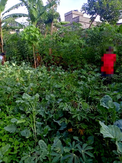 Very Prime Plot at Gachie Ready Title 40 by 80 - Image 3