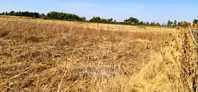 1/2 Acre Plot for Sale in Chepkanga Near Lelit in Eldoret - Image 6