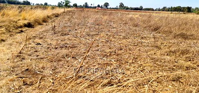 1/2 Acre Plot for Sale in Chepkanga Near Lelit in Eldoret - Image 3