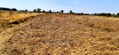 1/2 Acre Plot for Sale in Chepkanga Near Lelit in Eldoret - Image 1