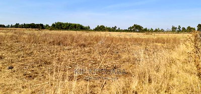 1/2 Acre Plot for Sale in Chepkanga Near Lelit in Eldoret - Image 5