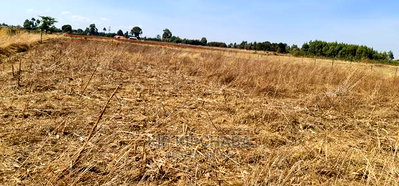1/2 Acre Plot for Sale in Chepkanga Near Lelit in Eldoret - Image 2